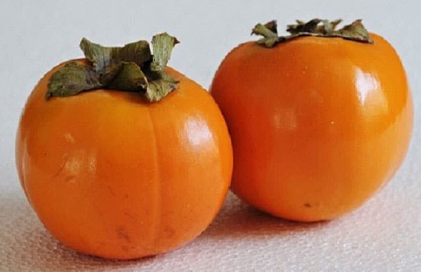 Λωτός: Πλούσιος σε αντιοξειδωτικές και αντιγηραντικές ιδιότητες