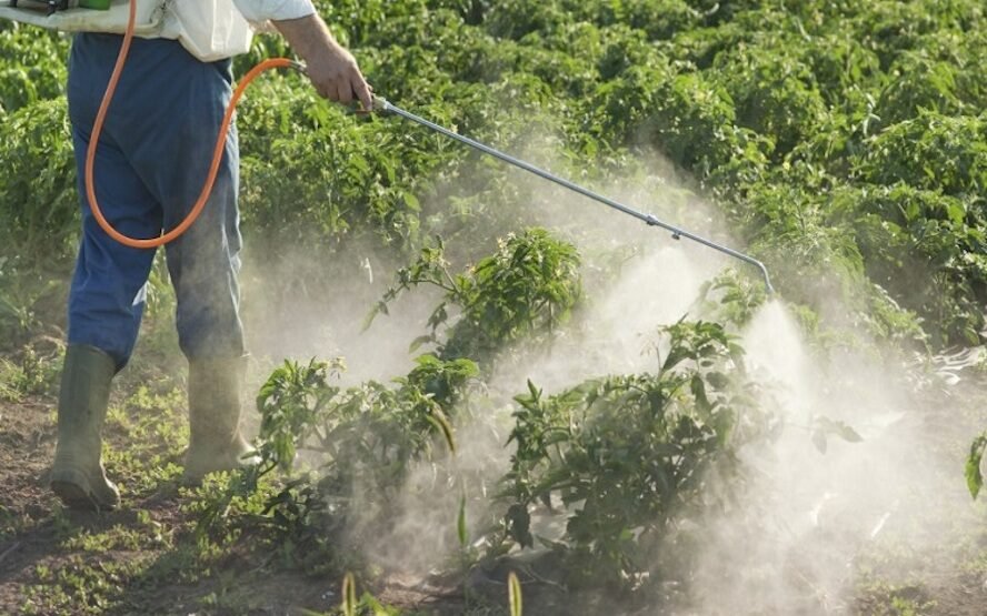 Π.Ε. Πιερίας